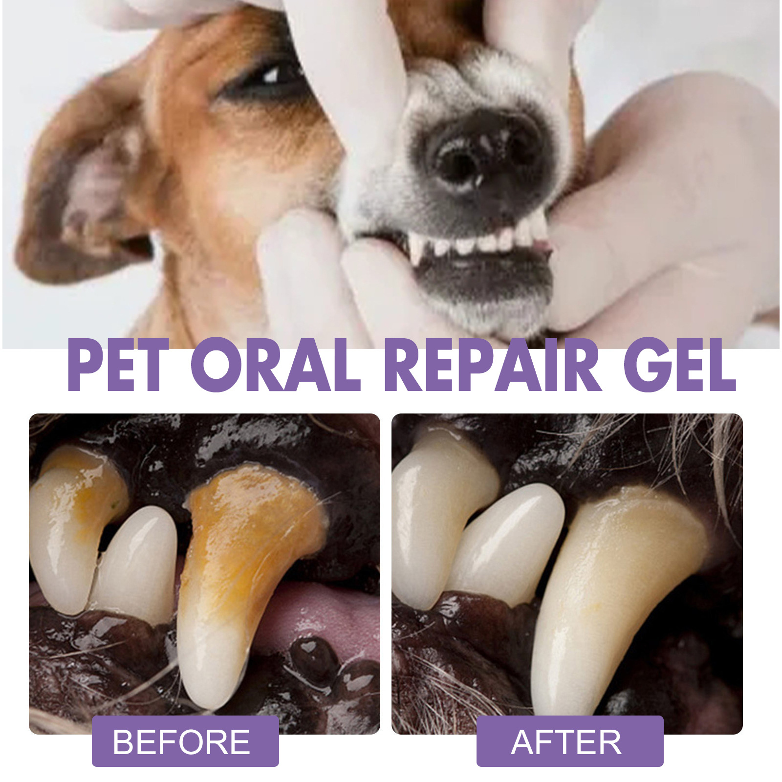 สัตว์เลี้ยง Oral Repair GEL Pu - Teeth Whitening Near Me บทวิจารณ์และราคา